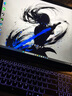機械革命極光X 潮玩版 酷睿i7HX 游戲本筆記本電腦(i7-14650HX 32G 1T RTX5060 2.5K屏 300Hz 灰) 曬單實拍圖