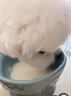 迪麗莎寵物羊奶粉犬貓通用補(bǔ)充維生素益生菌0乳糖高鈣貓用犬用羊奶粉 一罐【300g】貓犬通用 曬單實(shí)拍圖