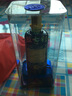 西鳳酒白酒 四大名酒紅七彩52度鳳香型收藏商務(wù)自飲婚宴純糧酒 52度藍七彩30年 整箱6盒500ml 52%vol 曬單實(shí)拍圖