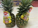 佳農(nóng) 菲律賓進口菠蘿 2個裝 鳳梨 單果凈重2斤 新鮮水果 源頭直發(fā)   曬單實拍圖