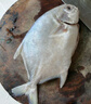 環(huán)球水產(chǎn) 南海金鯧魚700g 2條 BAP認(rèn)證深海魚 冷凍 生鮮魚類海鮮 家庭聚餐 曬單實拍圖