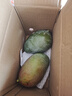 【新鮮上市】正宗攀枝花凱特芒果新鮮水果 帶箱2斤200g+ 曬單實拍圖