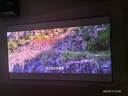極米RS 20 Pro Max 家用投影儀 全新三色激光變焦移軸高刷投影 大師鏡頭 智能影院 4K超清 國家補貼20% 曬單實拍圖