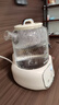 蘇泊爾（SUPOR）全玻璃養(yǎng)生壺 煮茶壺1L迷你養(yǎng)生杯煮茶器花茶壺 恒溫壺 母嬰級 保溫燒水壺316L帶濾網SW-10Y03Q 曬單實拍圖