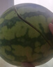 曉吸無籽麒麟瓜 4kg 曬單實(shí)拍圖