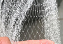 1厘米小網(wǎng)孔專(zhuān)用防小鳥(niǎo)網(wǎng)防冰雹網(wǎng)絲網(wǎng)菜地陽(yáng)臺果園防鳥(niǎo)果樹(shù)防鳥(niǎo) 2米寬20米長(cháng)【1.0網(wǎng)孔】 曬單實(shí)拍圖