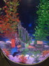 美之海魚(yú)缸客廳家用中大型歐式落地半圓柱形水族箱免換水生態(tài)金魚(yú)缸 白色 50x50x138cm 曬單實(shí)拍圖