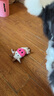 柒哦狗狗玩具耐咬磨牙幼犬狗狗毛絨發(fā)聲自嗨解悶神器中小型犬寵物用品 狗狗玩具小牛 曬單實(shí)拍圖