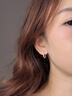 DAISY DREAM莫比烏斯耳環(huán)女2025新款爆款高級(jí)感素圈耳圈氣質(zhì)耳環(huán)獨(dú)特春夏耳飾 金色鋯石莫比烏斯耳環(huán) 曬單實(shí)拍圖