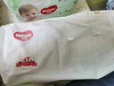 好奇（Huggies）心鉆裝小森林拉拉褲XL32+2片(12-17kg)加大號尿不濕夏季超薄 曬單實拍圖