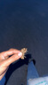 印品棉棉屋兒童純棉短褲夏季薄款竹節棉男女寶寶中褲休閑褲嬰幼兒沙灘褲全棉 草莓組 短褲3件裝 90 （兩用檔） 曬單實(shí)拍圖