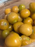 桃西村東北姑娘果【順豐可選】菇?jīng)龉麩艋\果黃菇娘姑鳥(niǎo)小金豆新鮮水果 3斤 精選果【單果7-9g】普快 曬單實(shí)拍圖