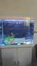 天寶魚(yú)缸帶柜子客廳家用中小型懶人免換水玻璃金魚(yú)缸整套水族箱帶氧氣 620標配+柜子+大禮包 曬單實(shí)拍圖