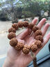 儒悠然尼泊爾大金剛菩提子手串原籽五六瓣精品老樹(shù)滿(mǎn)肉蜂窩雙龍文玩手串 五星老樹(shù)滿(mǎn)肉【22mm】 曬單實(shí)拍圖