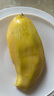 久雅優(yōu)鮮廣西百色桂七芒青皮甜心芒貴七芒桂7香芒孕婦新鮮水果現摘現發(fā) 凈重8.5-9斤（單果4-5兩） 曬單實拍圖