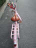 飛鴿（FLYING PIGEON）自行車成人通勤車自行車學(xué)生單車成人自行車通勤自行車女士自行車 標(biāo)配櫻花粉|單速|(zhì)輻條輪+禮包 26寸適合160-185cm 曬單實拍圖