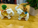 歐萊家招財(cái)大象擺件一對(duì)百財(cái)葫蘆家居玄關(guān)客廳電視柜喬遷入宅裝飾工藝品 TH財(cái)富吉祥對(duì)象擺件【一對(duì)禮盒裝】 曬單實(shí)拍圖