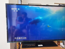 騰訊極光盒子5Pro 全程8K超高清電視網(wǎng)絡(luò)機頂盒 杜比藍光云盤硬盤播放器 無損音樂播放器  8+128G 極光5Pro（ 8+128G） 曬單實拍圖