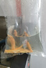 清苔鼠金苔鼠清潔魚(yú)熱帶觀(guān)賞魚(yú)清道夫鼠魚(yú)魚(yú)缸清理糞便除藻魚(yú) 8-10厘米金苔鼠5條（4+1備損） 金苔鼠 曬單實(shí)拍圖