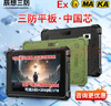 辰想三防A10R工業(yè)三防平板國產(chǎn)系統(tǒng)鴻蒙電腦級(jí)信創(chuàng)可定制戶外野外KJD防爆堅(jiān)固用隊(duì)部帶網(wǎng)口單北斗定位IECEX A10R 定制定金+自選配件 SSD可拓展 RK3588 曬單實(shí)拍圖