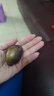 庾豐當(dāng)季新鮮現(xiàn)摘西梅 新鮮水果整箱 孕婦藍(lán)蜜法蘭西梅 團(tuán)購送禮 5斤裝（凈果4.5斤）大果 顆顆甄選 產(chǎn)地直發(fā) 曬單實(shí)拍圖