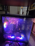 AMD 銳龍5 5600 AMD全家桶組裝電腦RX6500XT/7650GRE主機AI渲染臺式電腦整機游戲電競DIY組裝機套件 配置四R5 5600/RX7650GRE 8GB 單主機 曬單實拍圖