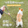 華元寵具（hoopet）狗狗牽引繩子防爆沖P繩鏈子胸背帶中小型大型犬柯基防掙脫溜遛狗 曬單實(shí)拍圖