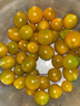 夏日陽(yáng)光小番茄黃色迷戀圣女果即食水果小柿子現摘現發(fā)減肥早餐 4斤 曬單實(shí)拍圖