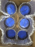美素佳兒源悅幼兒配方奶粉（12-36月齡，3段）罐裝800g （新國標(biāo)） 3段 800g 6罐 【店長推薦】 曬單實(shí)拍圖