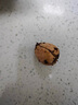 牛油果種子樹(shù)苗盆栽苗帶葉子發(fā)貨水培鱷梨種子苗南方熱帶水果 沒(méi)發(fā)芽牛油果種子10粒 曬單實(shí)拍圖
