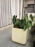 京厽北歐極簡(jiǎn)鎂泥花盆方形水泥綠植盆仿陶瓷落地特大花器客廳裝飾擺件 米色小號 鎂泥 曬單實(shí)拍圖