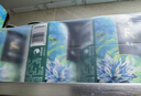 潔柔有芯卷紙藝術(shù)油畫Face4層200克*10卷衛(wèi)生紙卷筒紙巾整箱開學(xué)必備 曬單實拍圖