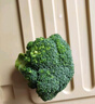有機西蘭花3斤 有機認證無農(nóng)殘新鮮美味沙拉輔食低卡寶寶輔食順豐 有機西蘭花5斤 曬單實拍圖