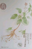 同仁堂（TRT）人參淡紋御齡面貼膜25g*5/盒 親潤呵護(hù)補(bǔ)充水分 淡化干紋  曬單實(shí)拍圖