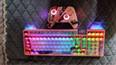 羅技（G）G304 LIGHTSPEED無(wú)線鼠標(biāo) 游戲鼠標(biāo) 輕質(zhì)便攜 絕地求生FPS鼠標(biāo)英雄聯(lián)盟LOL吃雞 生日禮物 白色 曬單實(shí)拍圖