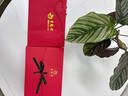 老鳳祥925銀羽你相戀項鏈耳釘手鏈首飾套裝浪漫實(shí)用生日情人節禮物老婆 【甜蜜愛(ài)戀】TD207項鏈+耳釘+手鏈 曬單實(shí)拍圖