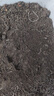 播種心情 家庭種植蔬菜種子孑籽大全四季播種陽臺盆栽農(nóng)家庭院小菜園有機 薄荷種子2包 曬單實拍圖