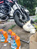 REPSOL睿爍威爽雷神機(jī)油 賽道級全合成摩托車機(jī)油潤滑油SN 10W-50 1L 曬單實(shí)拍圖