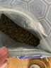 海豚龜糧黃緣龜糧半水龜專用安緣臺(tái)緣石金錢烏龜飼料龜苗幼龜發(fā)色龜糧 500g黃緣/金龜專用糧 大粒L 曬單實(shí)拍圖
