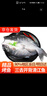 往牧叉尾鮰魚 三去開背 青江魚烤魚  腌制半成品 冷凍生鮮 江團(tuán)魚 特大凈重2.2-2.6斤 曬單實(shí)拍圖