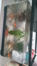 闊庭魚缸懶人魚缸家用客廳辦公室金魚缸過濾魚缸黑色款 曬單實(shí)拍圖