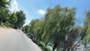 babycare云霧噴嬰兒驅(qū)蚊液基孔肯雅熱驅(qū)蚊噴霧寶寶兒童防叮母嬰花露水90ml 曬單實(shí)拍圖