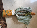 菠蘿蜜樹樹苗嫁接泰國紅肉干苞海南四季榴蓮蜜木菠蘿蜜果樹苗庭院 泰國12號木菠蘿(紅肉)) 三年苗 曬單實拍圖