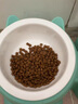 皇家幼貓奶糕 幼貓貓糧 BK34 通用糧 1-4月 2KG 曬單實拍圖
