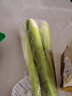 【荷塘月色】安溪茭白約400g 曬單實(shí)拍圖