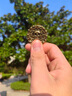 BURJUMAN加勒比海盜周邊黃銅真空電鍍金阿茲特克金幣光金幣無吊環(huán)加勒比海 做舊 曬單實拍圖