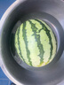 京鮮生 無(wú)籽麒麟西瓜 1粒裝 凈重5-7斤 新鮮水果 源頭直發(fā)包郵 曬單實(shí)拍圖