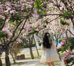 馨瑞緣（XINRUIYUAN）藍(lán)粉可愛甜美洋氣lolita長(zhǎng)袖連衣裙OP蓬蓬在逃公主洛麗塔裙 連衣裙 均碼 S 曬單實(shí)拍圖