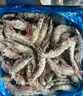 Member's Mark 泰國進(jìn)口 生冷凍黑虎蝦 2kg (約31-40只/每千克) 2kg(凈重) 曬單實(shí)拍圖