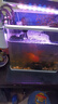 森森（SUNSUN）魚缸水族箱過濾器壁掛式水泵外置魚缸過濾桶魚缸凈水抽水泵 XBL-300小號-40CM內(nèi)缸用 定制 曬單實拍圖